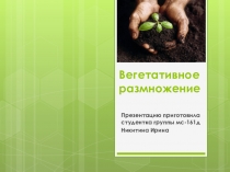 Презентация по биологии на тему Вегетативное размножение