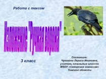 Презентация. Работа с текстом. Изложение Ручная ворона 3 класс