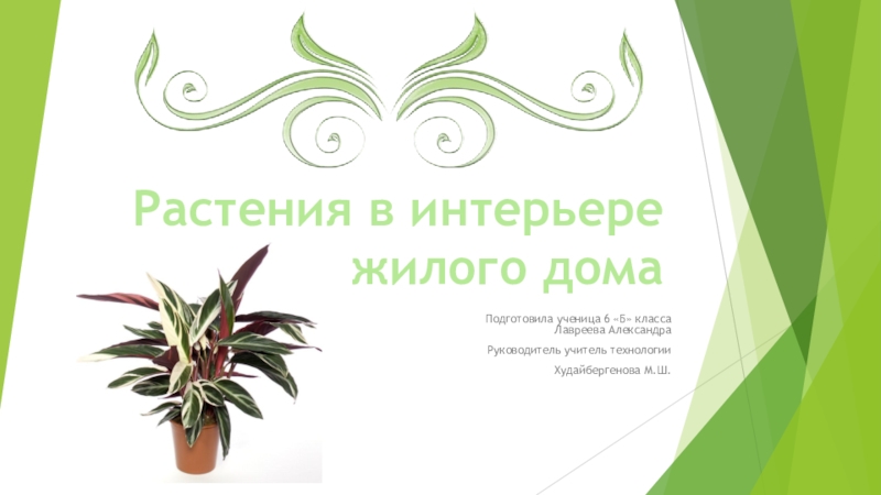 Презентация Растения в интерьере жилого дома