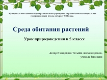 Презентация по природоведению на тему Среда обитания растений