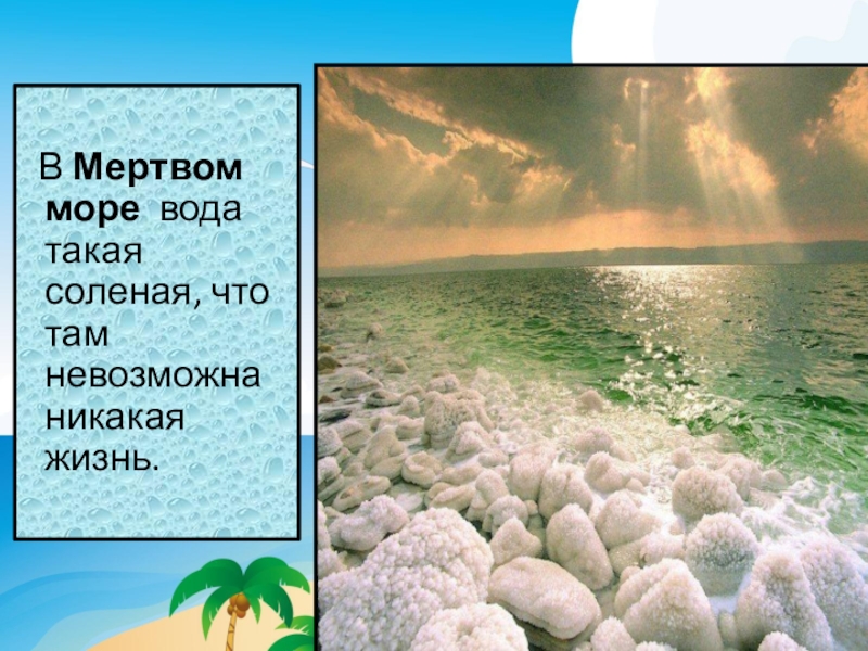 Процент соли в мертвом море. Мёртвое море солёность воды. Состав мертвого моря. Насколько соленое Мертвое море. Соленость мертвого моря в граммах.