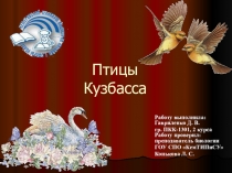 Презентация по биологии на тему Птицы Кузбасса