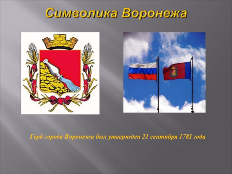 Проект город окружающий мир воронеж. Герб Воронежа. Проект город Воронеж. Воронеж описание города. Герб Воронежа современный.