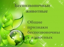 Презентация по биологии на тему Беспозвоночные. Общие признаки червей (8 класс, школа VIII вида)