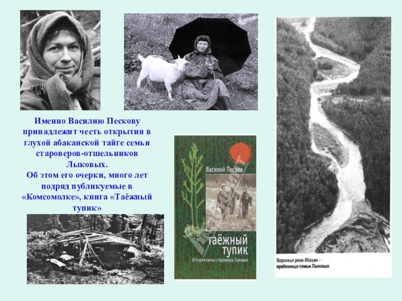 Очерк пескова. Василий Песков семья. Где похоронен Василий Песков. Василий Песков, дороги и тропы. Картинки презентация Василий Песков.