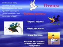 Презентация по окружающему миру на тему Птицы Югры