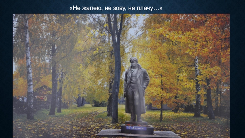 Есенин не жалею не зову. Не жалею, не зову, не плачу. Не жалею не зову не плачу Есенин. Не жалею не зову не плачу картина. Не жалею не зову не плачу фото.