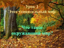 Презентация по окружающему миру на тему Этот удивительный мир ( 1 класс)