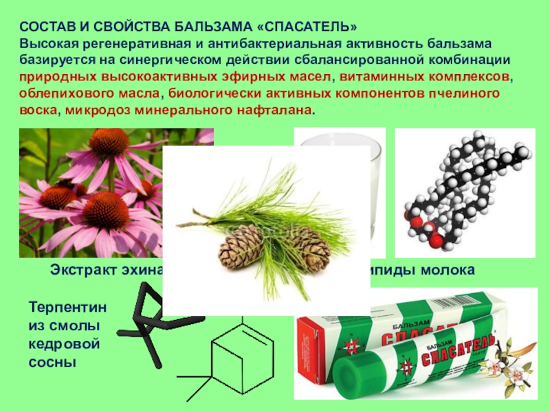 Регенеративная медицина презентация