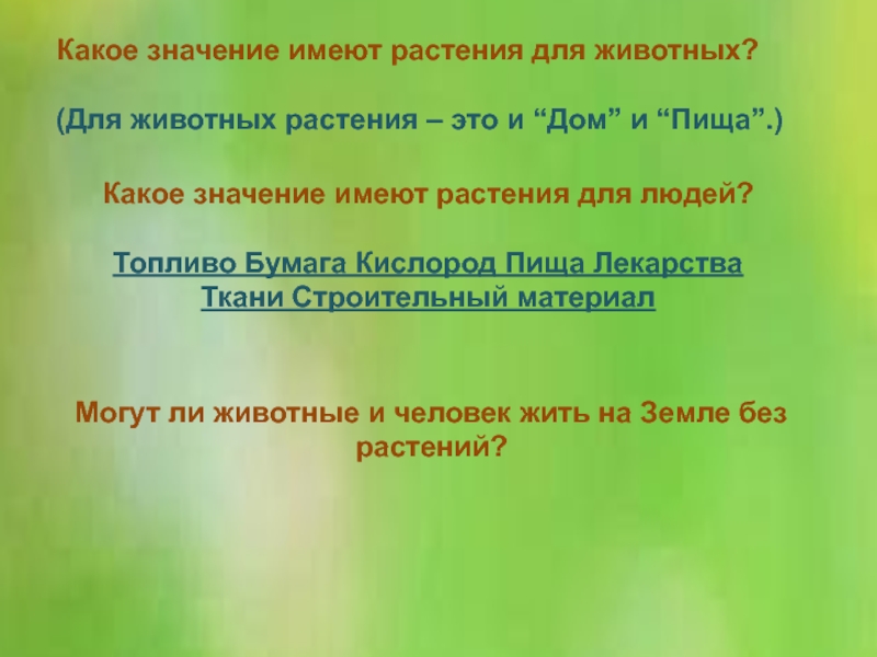 Какое значение имеют растения. Какое значение имеет цвето. Какое значение имеет цветок. Какое значение имеет цветок для растения.