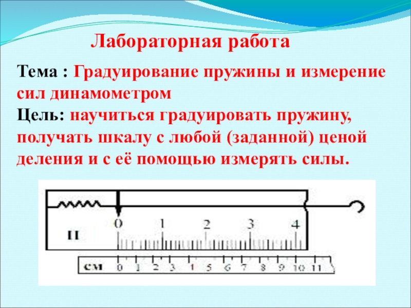 При помощи динамометра ученик