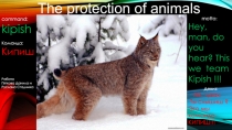 Презентация по английскому языку учеников 6 класса  Protection