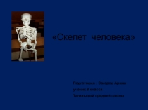 Презентация по биологии скелет человека 8 класс