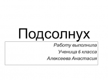 Подсолнух. презентация по биологии 6 класс