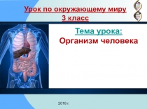 Презентация по окружающему миру Организм человека 3 класс