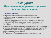 Презентация по биологии Внешнее и внутреннее строение листа