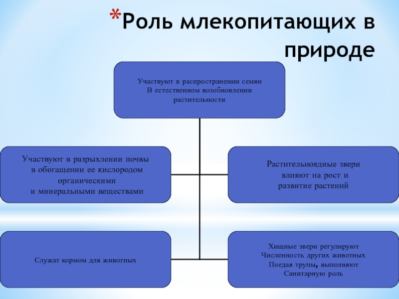 Презентация значение млекопитающих для человека 7 класс биология константинов