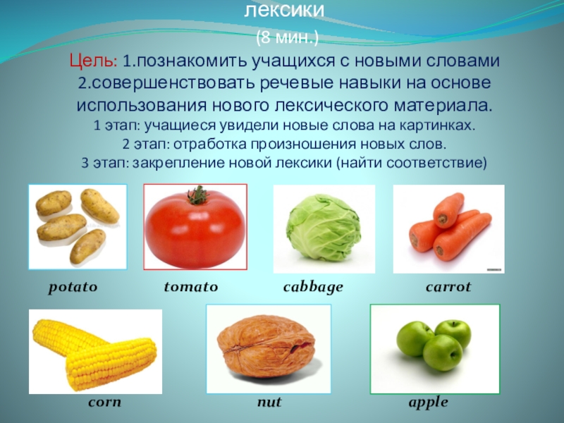 Способы презентации новой лексики