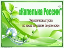 Презентация к году экологии.