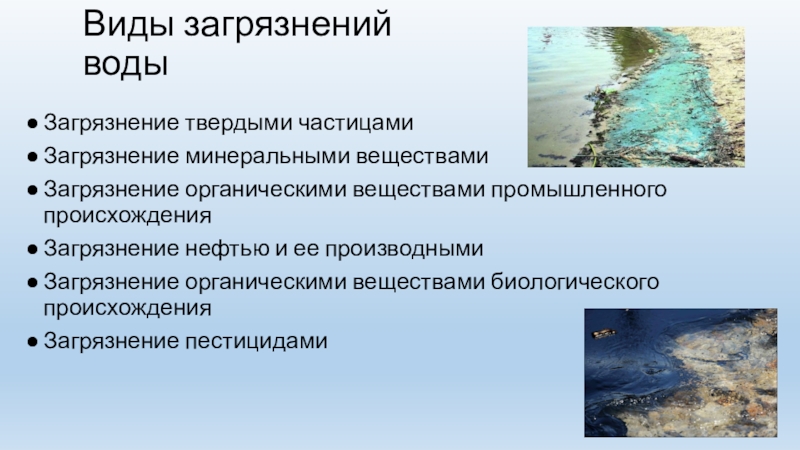 Виды загрязнений природных вод. Загрязнения органическими веществами. Основные виды загрязнения вод.