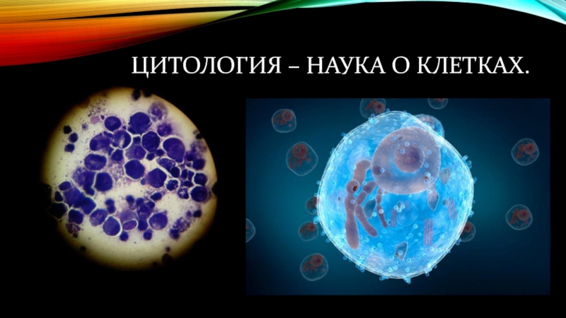 Какая наука изучает рост клетки. Цитология это наука изучающая. Цитология это в биологии. Цитология -учение о клетке. Цитология презентация.
