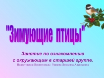 Презентация по ознакомлению с окружающим в старшей группе на тему Зимующие птицы