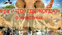 Презентация по окружающему миру на тему  Игра ЧТО? ГДЕ? КОГДА? о животных  (2 класс))