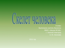 Презентация по биологии на тему Скелет человека (8 класс)