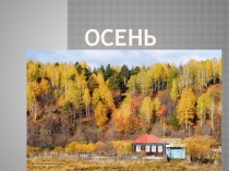 Поделки из природных материалов. Творческие работы учащихся Дары осени.