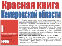 Презентация по биологии и географии Красная Книга Кемеровской области