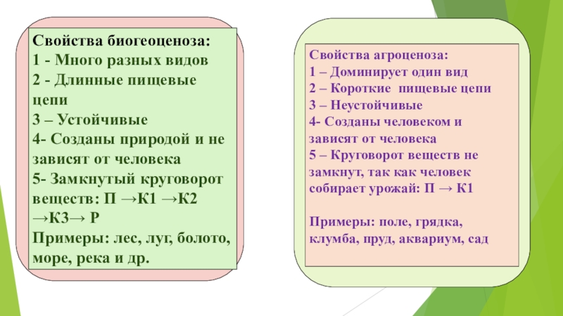 Презентация по теме смена природных сообществ