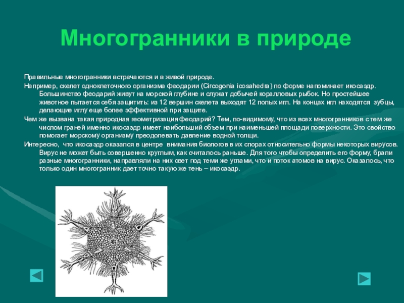 Правильные многогранники в природе презентация 10 класс