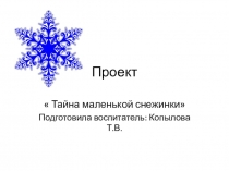 Презентация проекта  Тайна маленькой снежинки