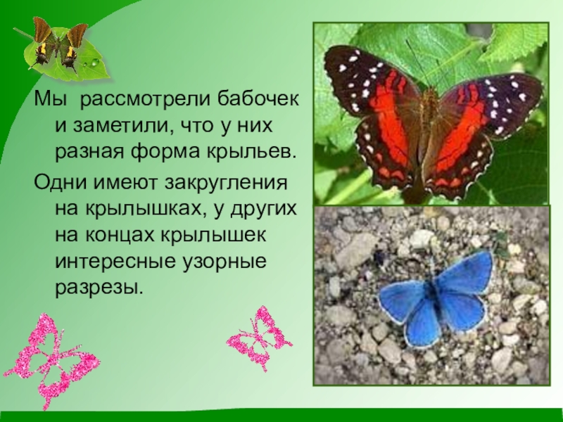 девочка с бабочкой. девочка держит бабочку. поведение бабочек в природе. дети с цветами. бабочек рассматривают.