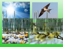 Презентация к занятию заучивание стихотворения Ладонщикова Возвращаются певцы