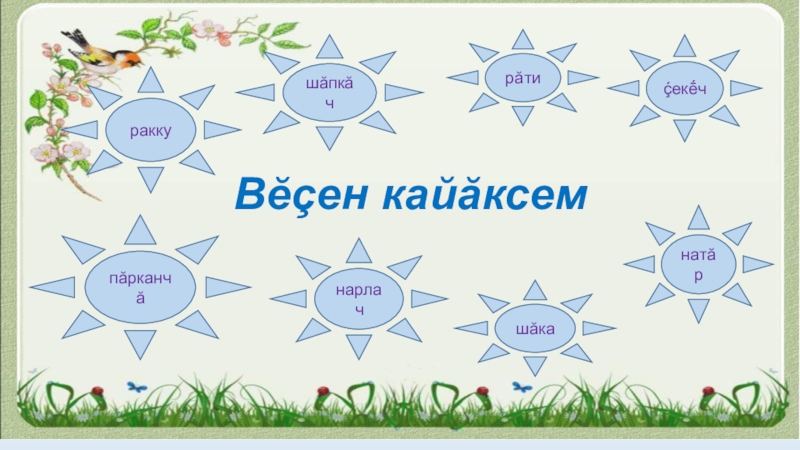 Презентация Презентация по чувашскому языку на тему  Птицы. (5 класс)