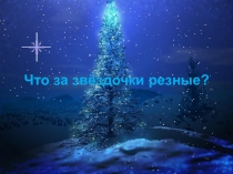 Презентация по курсу Экология 1 класс.Внеурочная деятельность