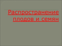 Презентация Распространение плодов и семян