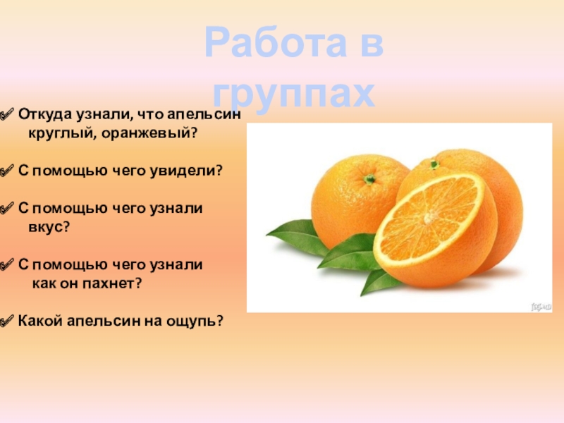 Апельсин сколько есть. Апельсин какой. Откуда апельсины. Какой апельсин на ощупь. Где появились апельсины.