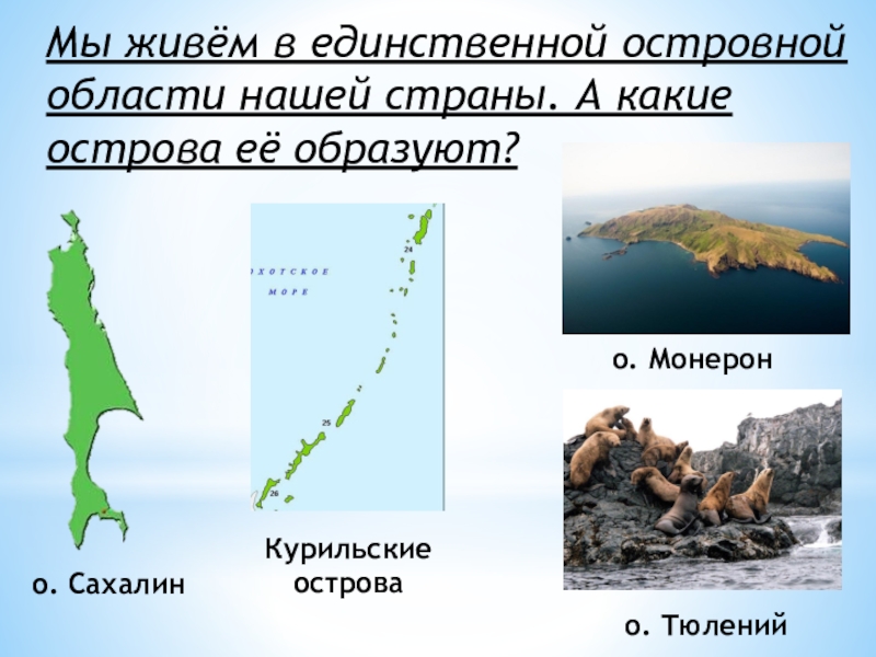 В составе дальнего востока находится островная область