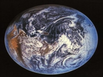 Презентация по биологии на темуЭкологические факторы(11 класс)