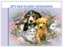 Презентация к занятию Друзья наши меньшие