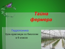 Презентация к уроку практикуму в 6 классе Тайна фермера. Гидропоника