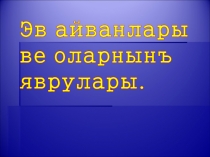Презентация по крымскотатарскому языку Эв айванлары ве оларнынъ яврулары