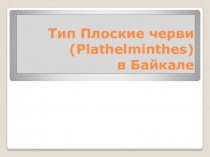Презентация Плоские свободноживущие черви Байкала.