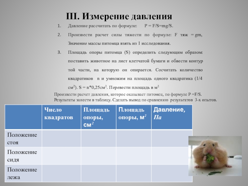 Заключение проекта домашний питомец