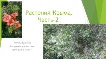 Презентация по географии Растения Крыма. Часть 2