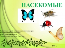 Презентация по Ознакомлению с окружающим миром на тему Насекомые