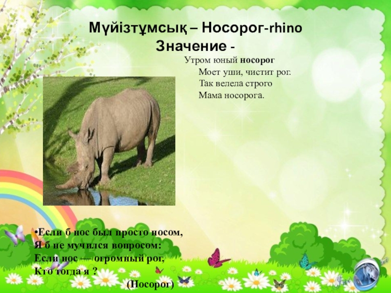 Мүйізтұмсық – Носорог-rhino Значение -Утром юный носорог Моет уши, чистит рог. Так велела строго Мама носорога.•Если б