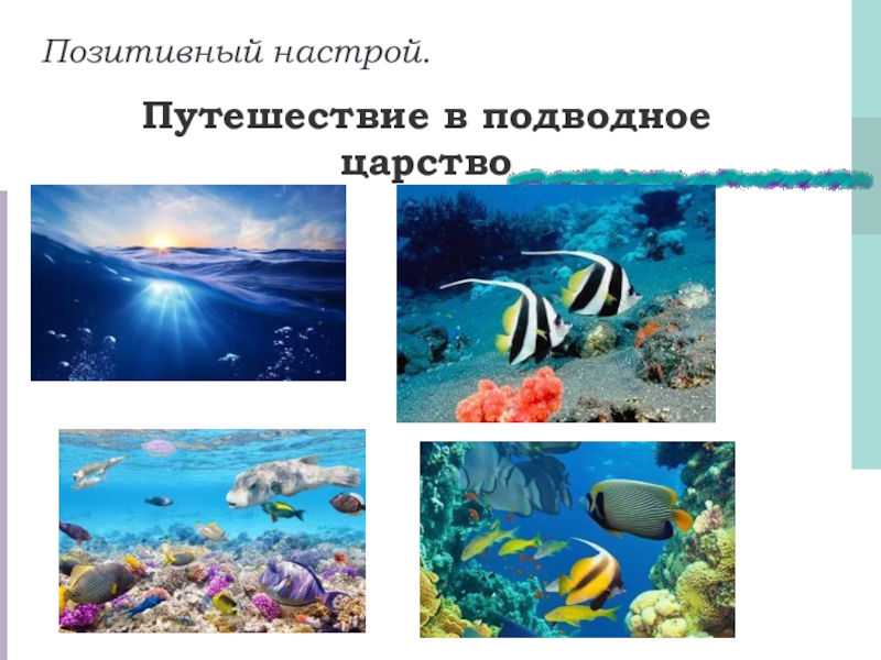 Презентация по самопознанию Быть трудолюбивым (5 класс)